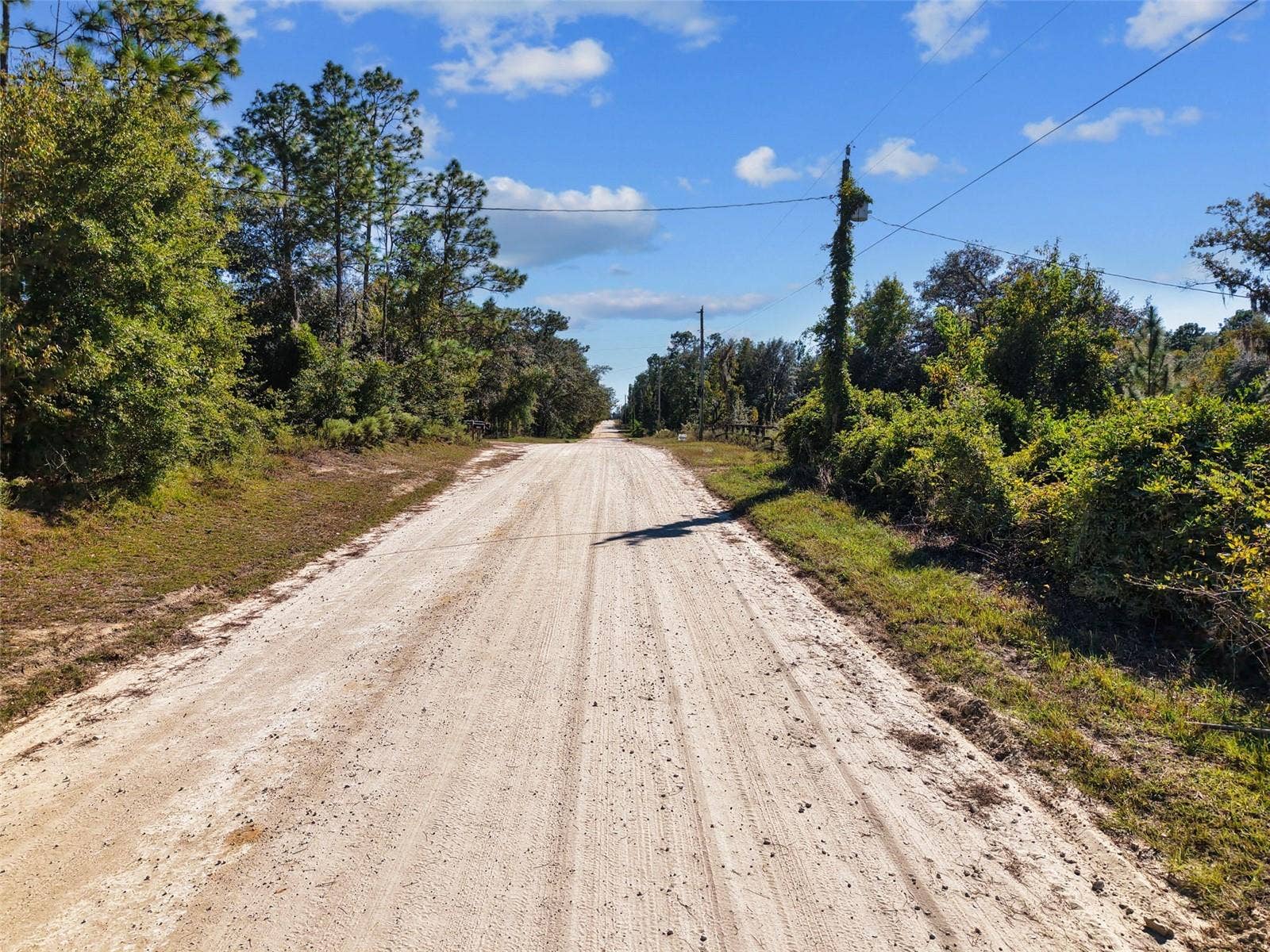 5650 NE 110TH AVENUE, Bronson, FL 32621 5650 NE 110TH AVENUE, Bronson, FL 32621