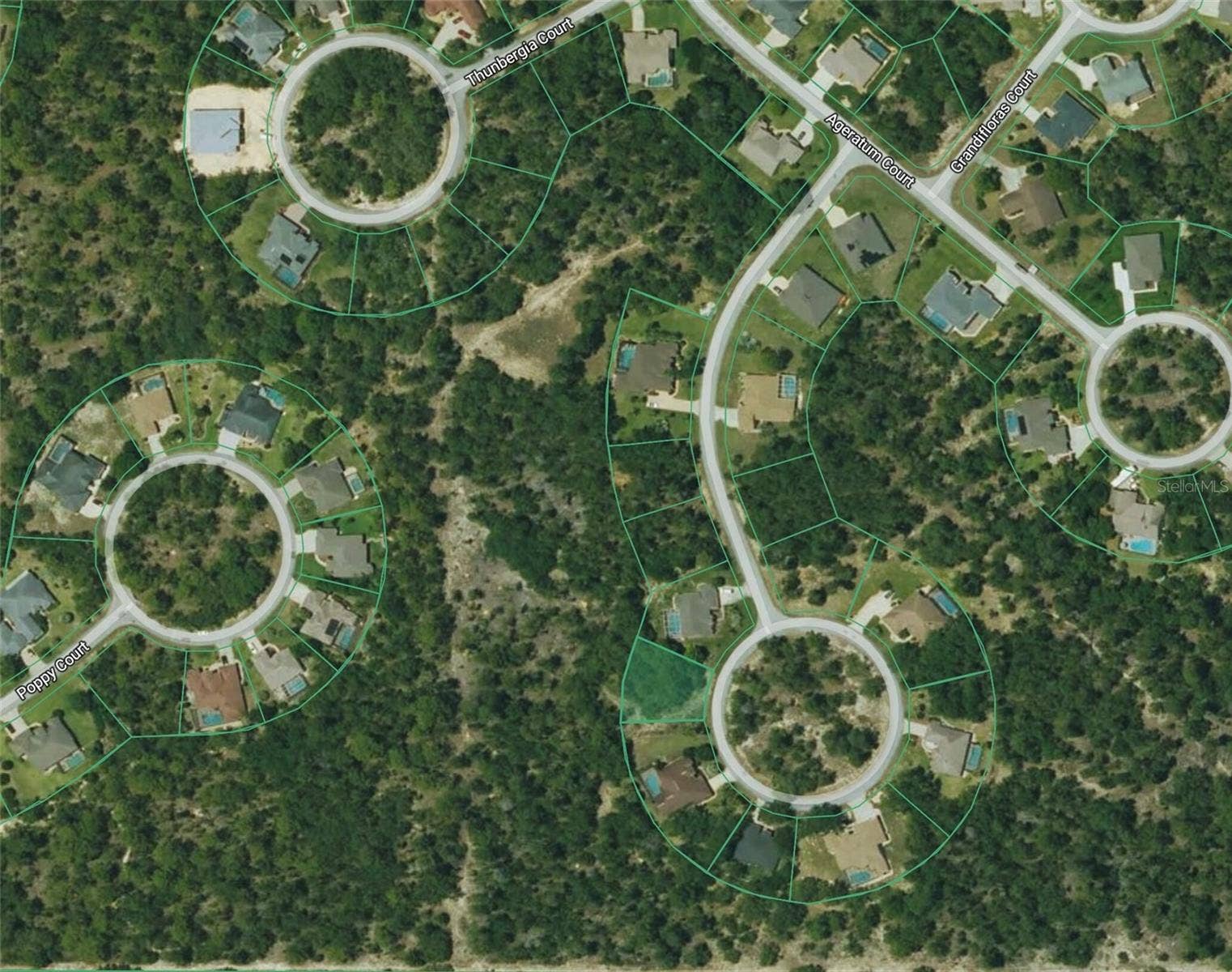 14 FLORIBUNDA COURT, Homosassa, FL 34446 14 FLORIBUNDA COURT, Homosassa, FL 34446