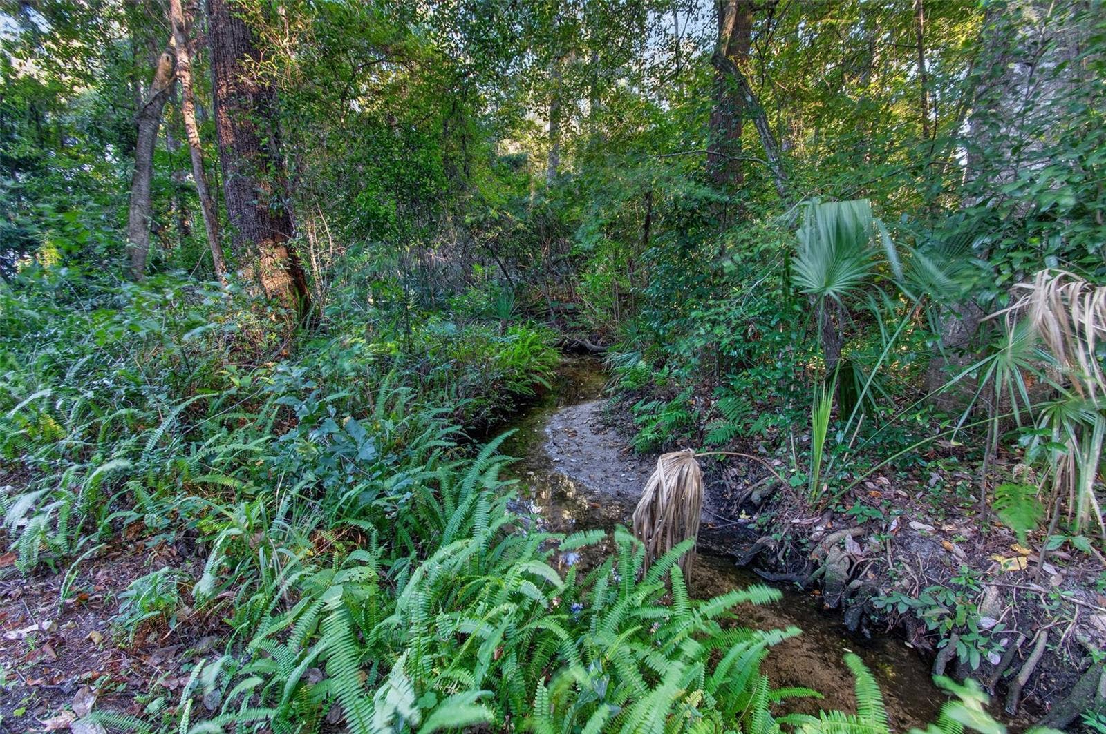 4415 NW 33RD COURT, Gainesville, FL 32606 Possum Creek