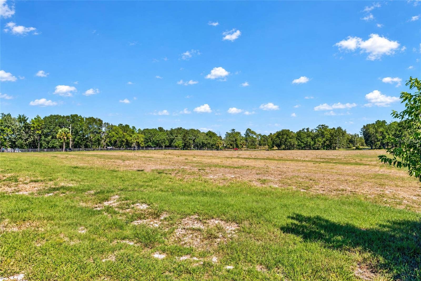 3954 NW 31ST AVENUE, Bell, FL 32619 3954 NW 31ST AVENUE, Bell, FL 32619