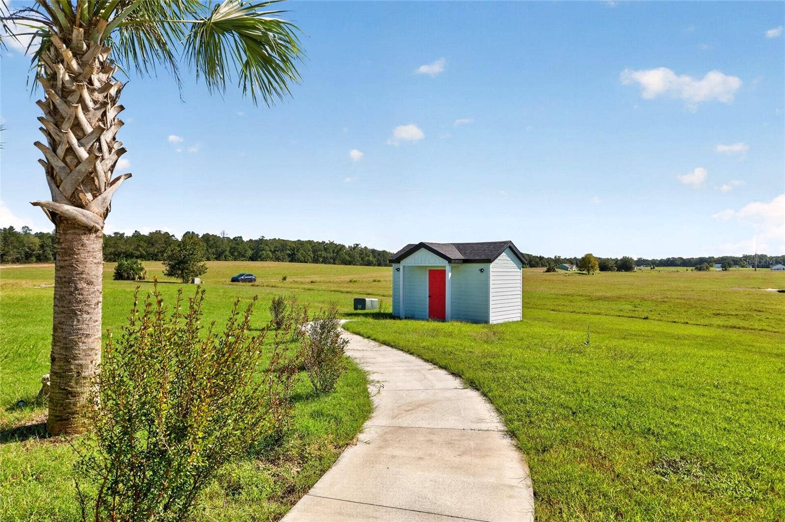 3955 NW 31ST AVENUE, Bell, FL 32619 3955 NW 31ST AVENUE, Bell, FL 32619