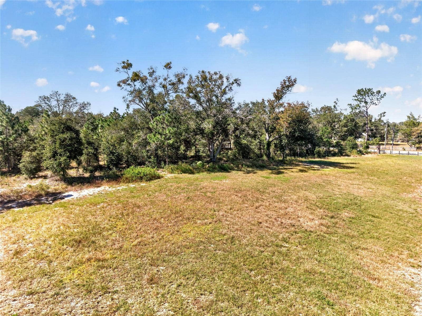 3955 NW 31ST AVENUE, Bell, FL 32619 3955 NW 31ST AVENUE, Bell, FL 32619