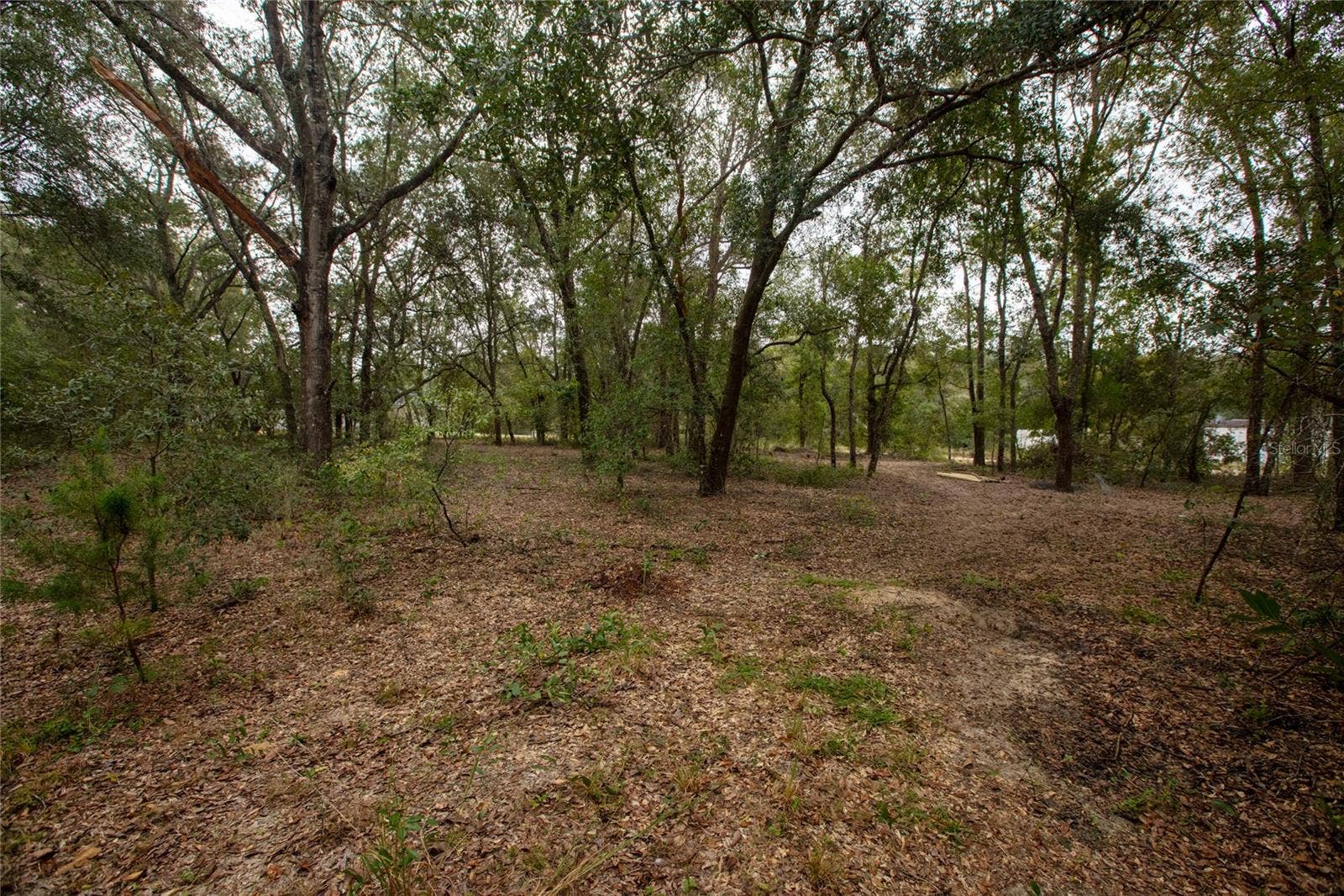 6400 AMHERST AVENUE, Keystone Heights, FL 32656