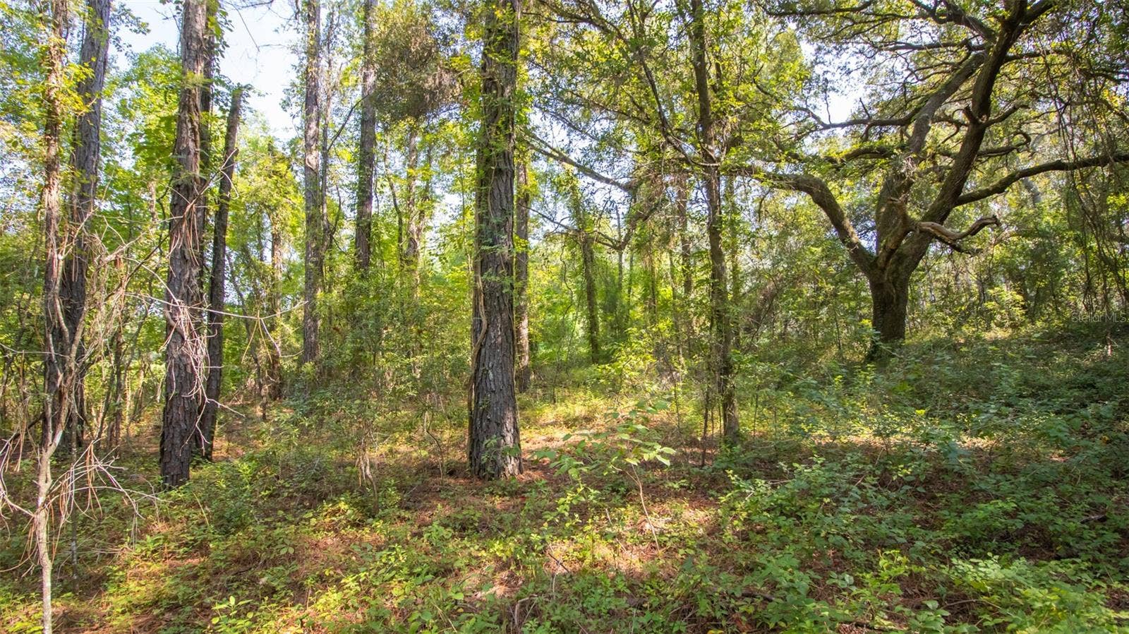 101 ASHLEY LAKE DRIVE, Melrose, FL 32666
