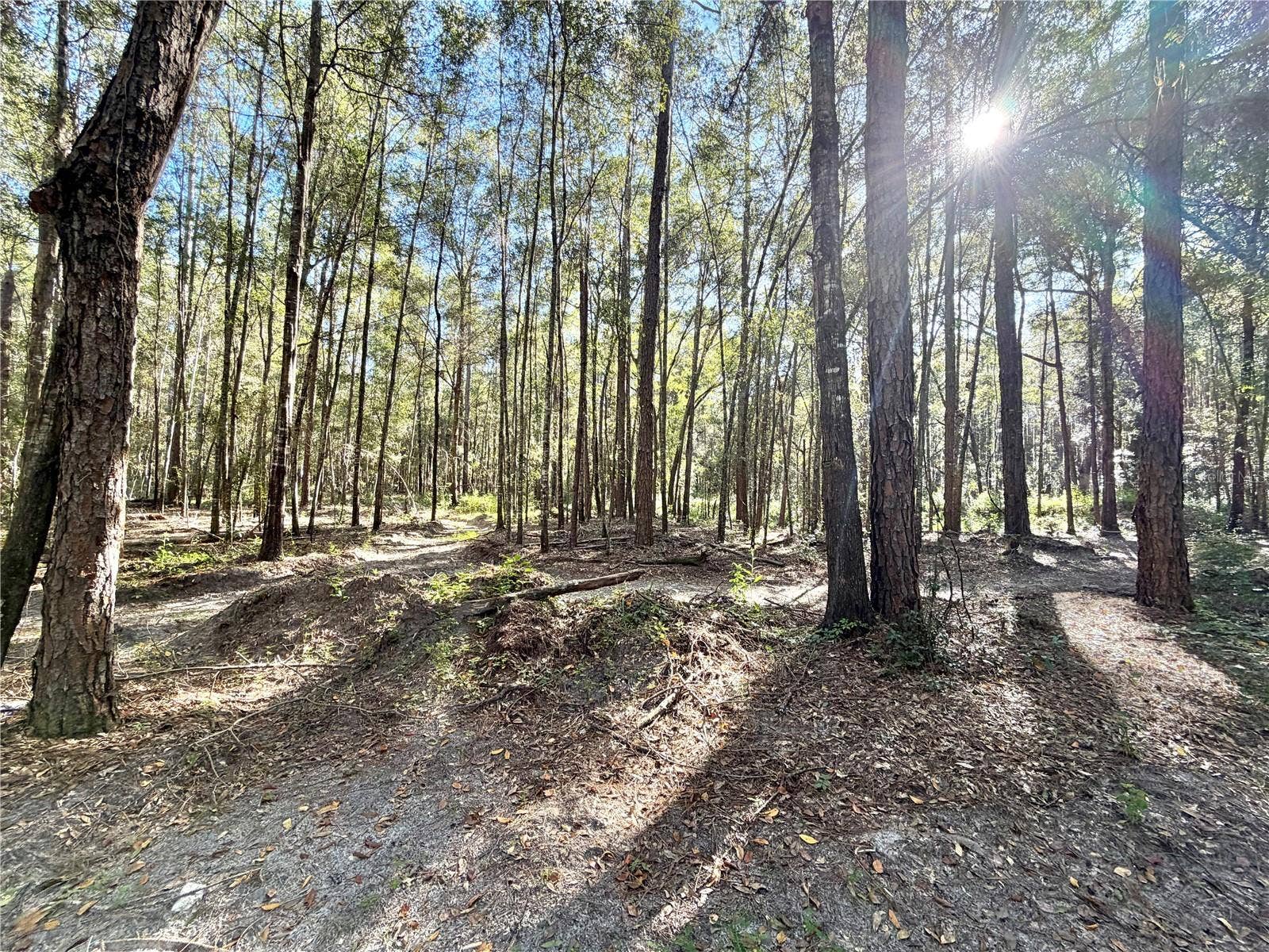 10727 NW 169TH DRIVE, Alachua, FL 32615