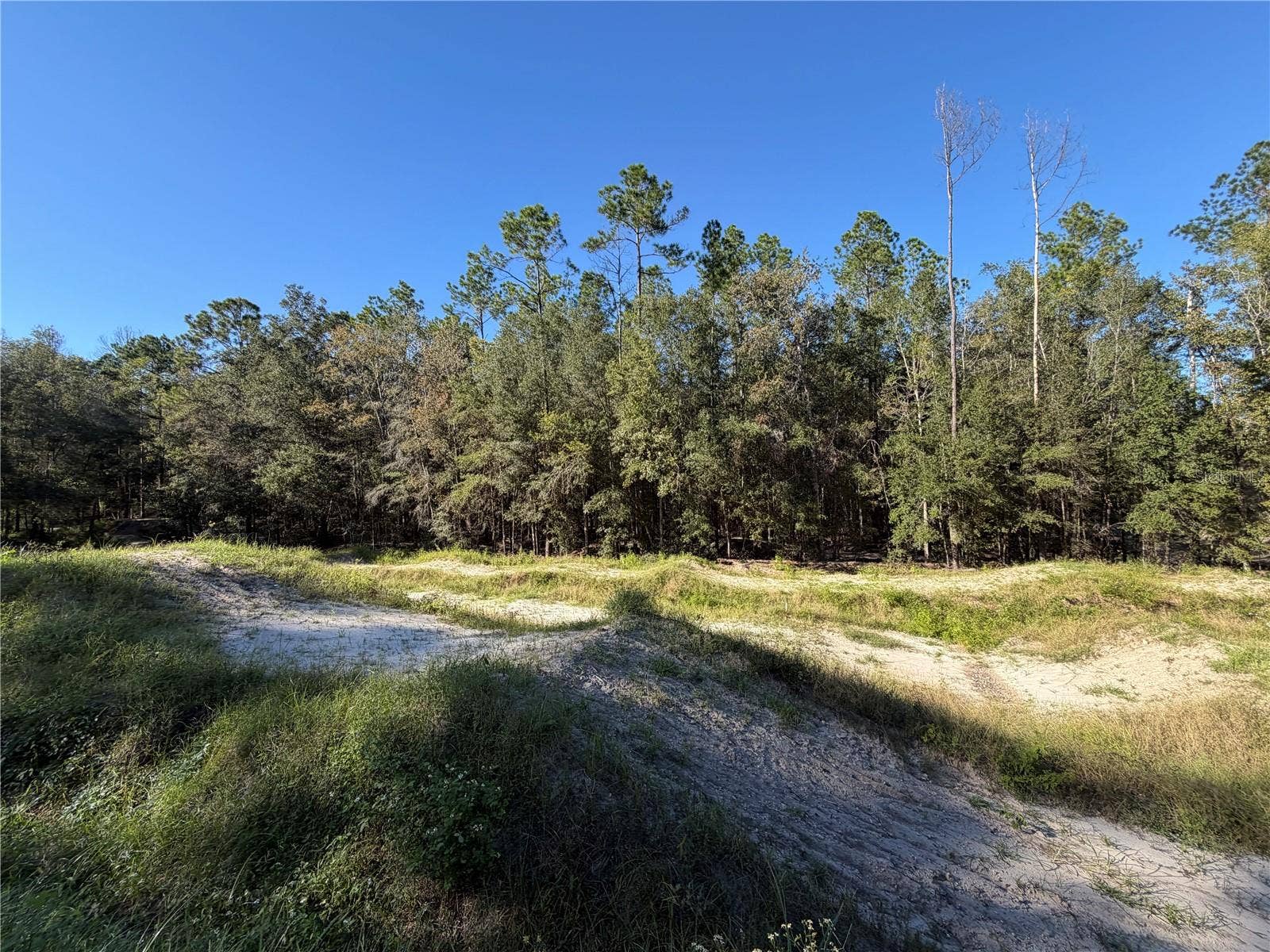 10727 NW 169TH DRIVE, Alachua, FL 32615