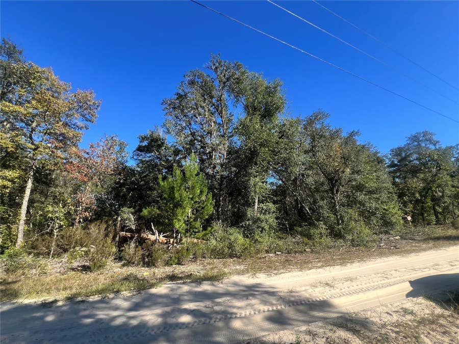 Property photo for TBD NE 97TH COURT, Bronson, FL