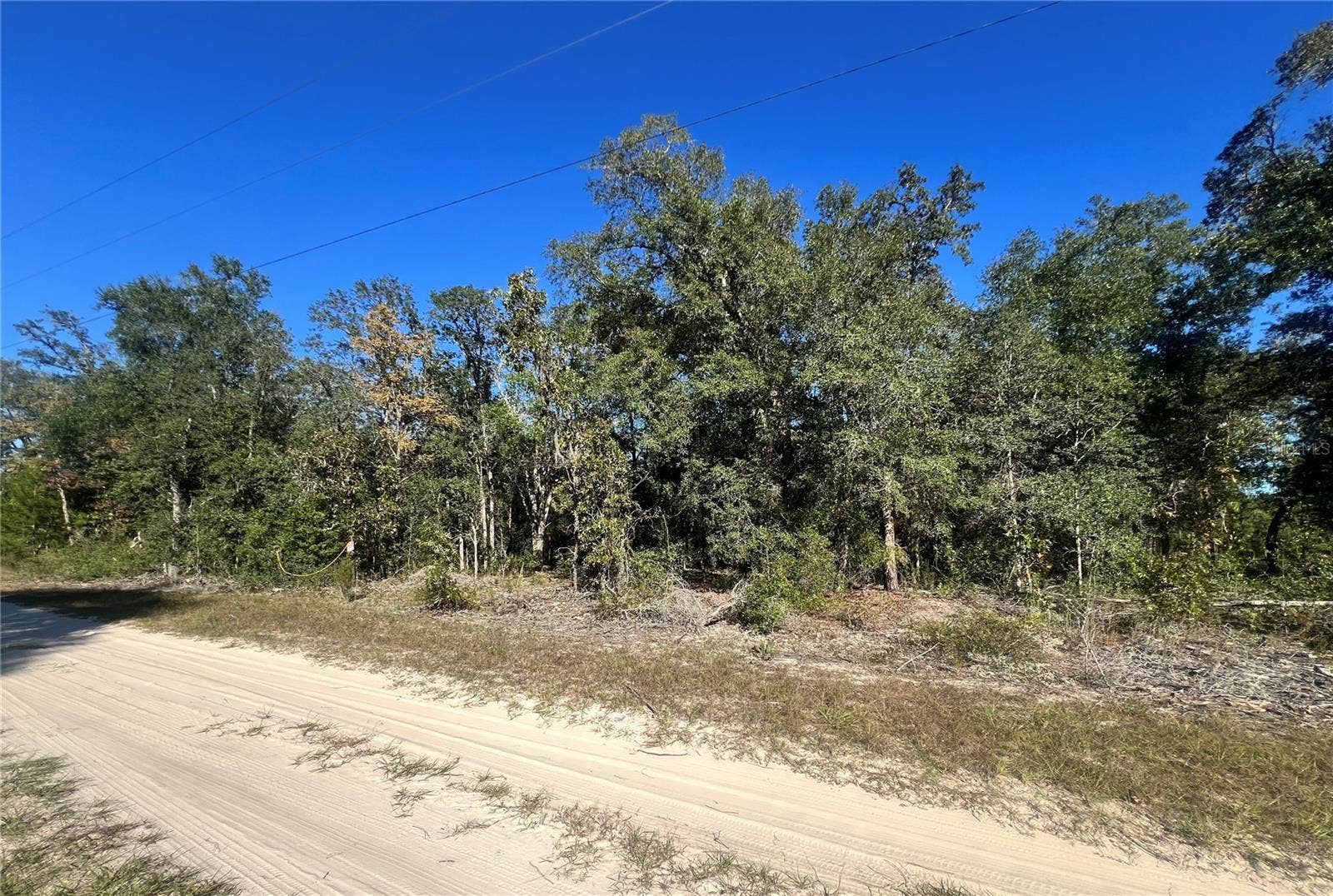 TBD NE 97TH COURT, Bronson, FL 32621 TBD NE 97TH COURT, Bronson, FL 32621