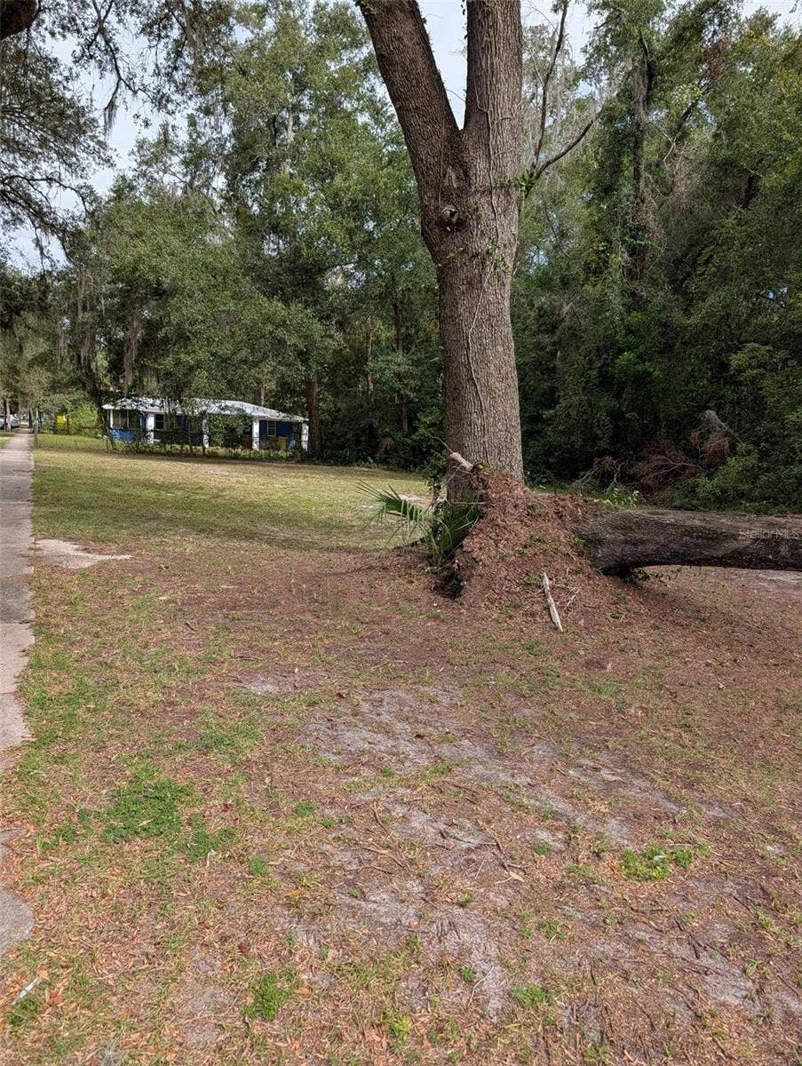 245 SE 15TH STREET, Gainesville, FL 32641 Photo 3