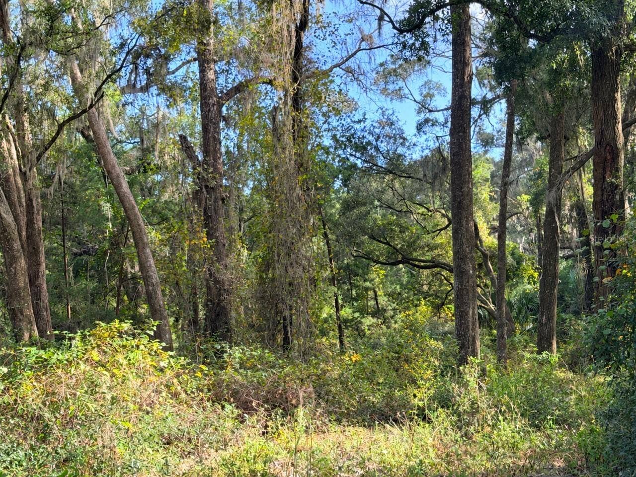 1190 NW 92ND PLACE, Chiefland, FL 32626 1190 NW 92ND PLACE, Chiefland, FL 32626