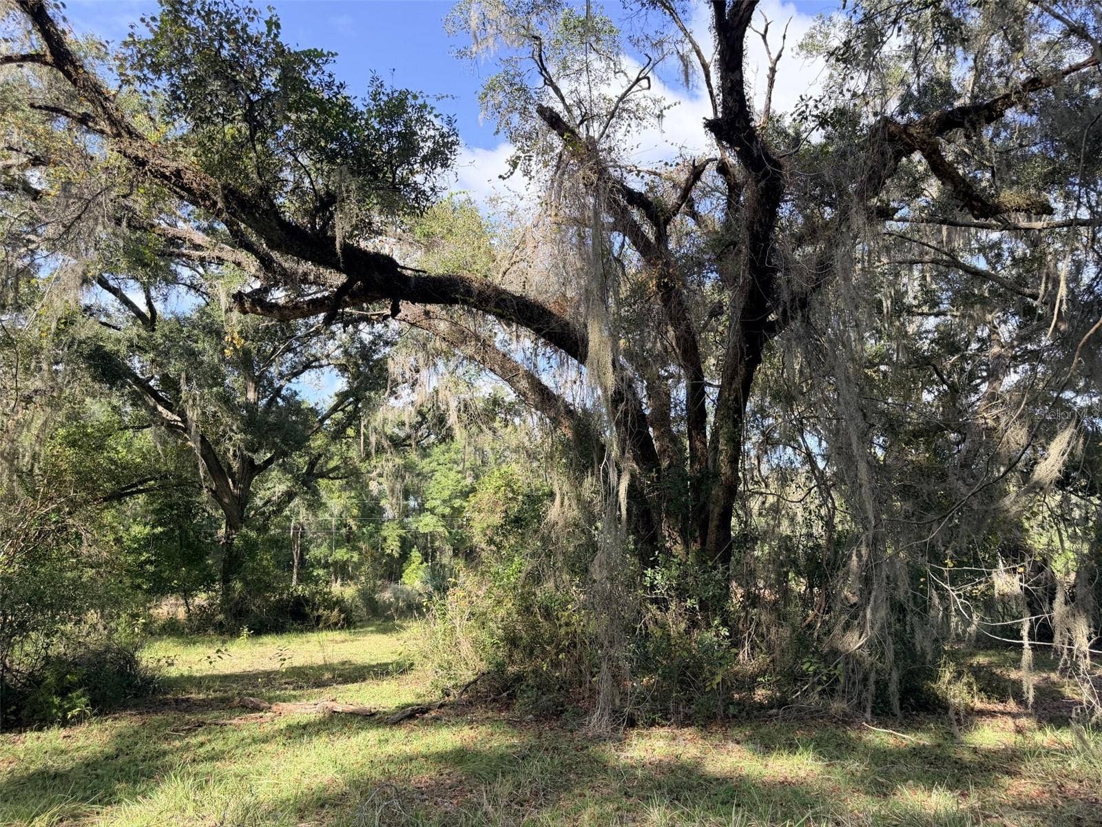 1190 NW 92ND PLACE, Chiefland, FL 32626 1190 NW 92ND PLACE, Chiefland, FL 32626