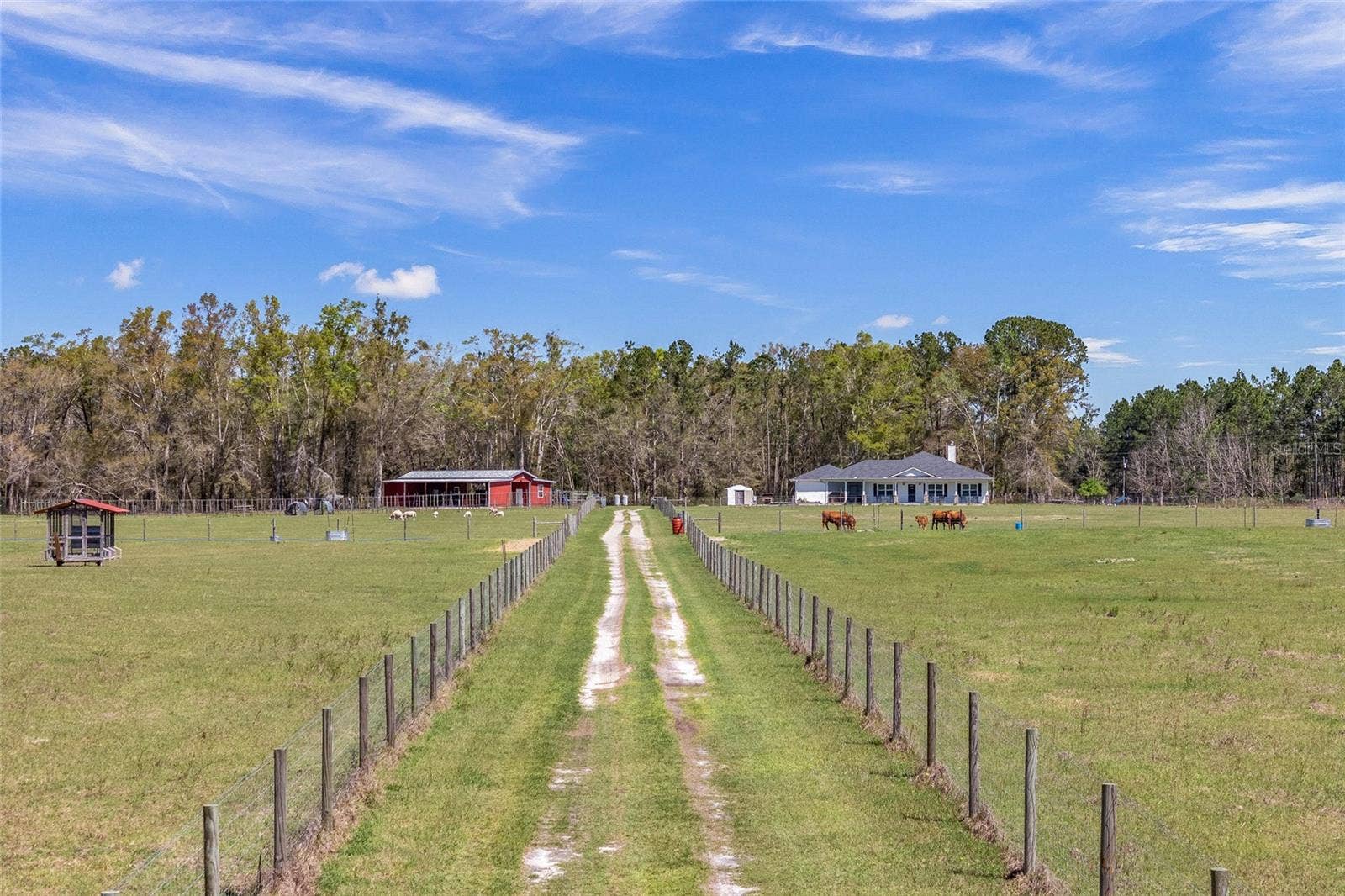 3725 172ND STREET, Wellborn, FL 32094 3725 172ND STREET, Wellborn, FL 32094