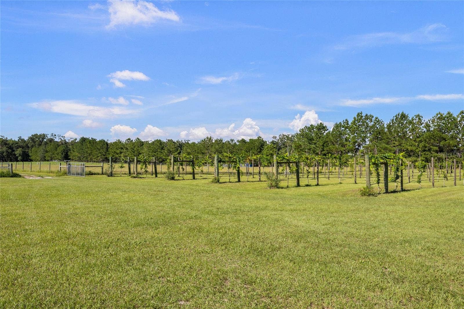 3725 172ND STREET, Wellborn, FL 32094 3725 172ND STREET, Wellborn, FL 32094
