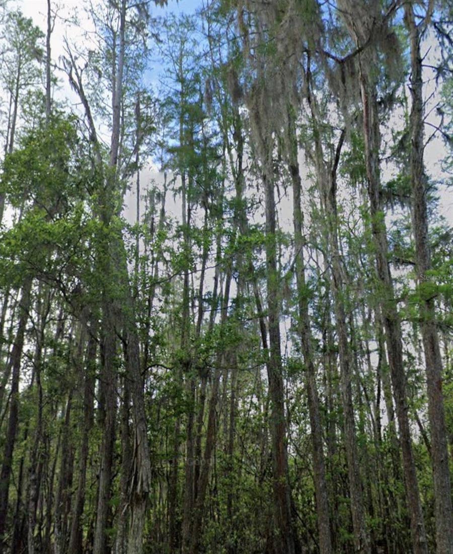 Property photo for Polk City, FL