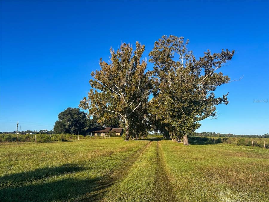 Property photo for 21335 WIYGUL ROAD, Umatilla, FL