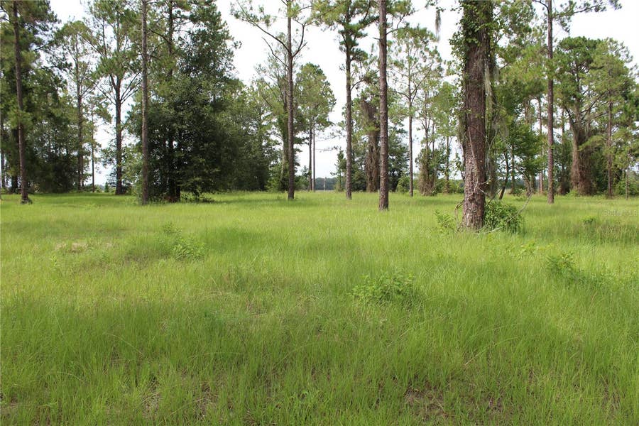 Property photo for BONSMARA DRIVE, #lot 16, Groveland, FL