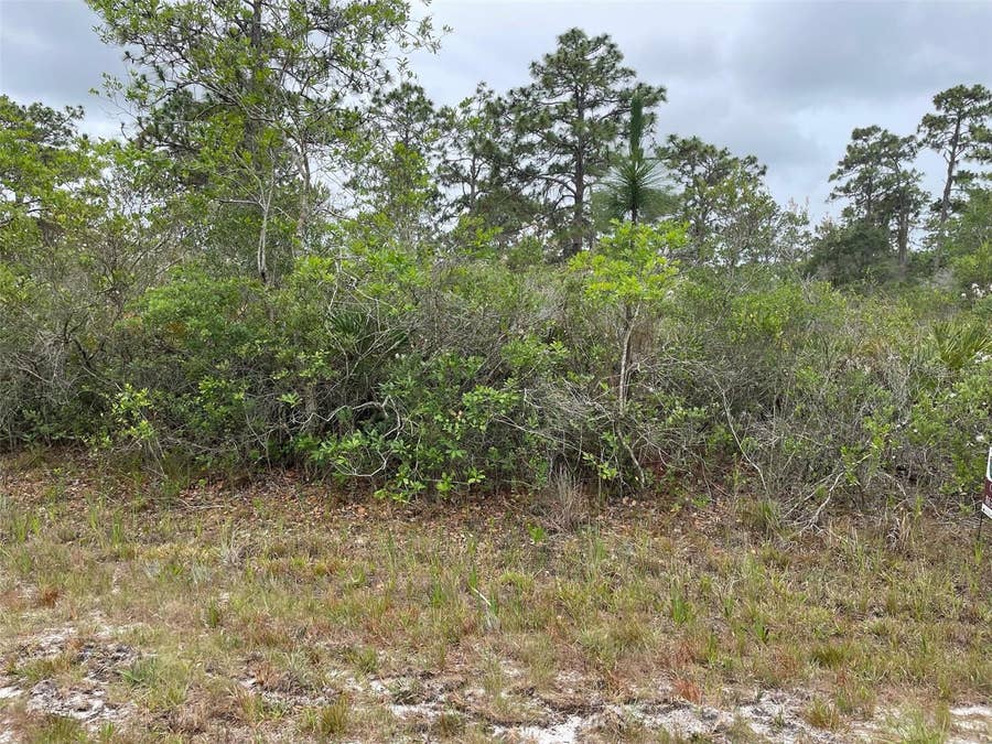 Property photo for 0 BOUGAINVILLEA DRIVE, Indian Lake Estates, FL