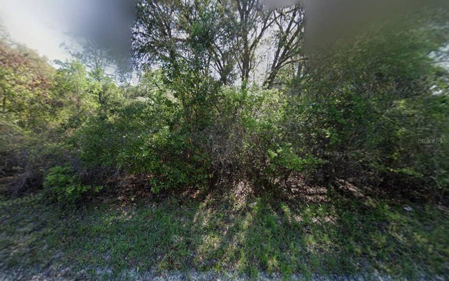 Property photo for NE 799TH STREET, Old Town, FL