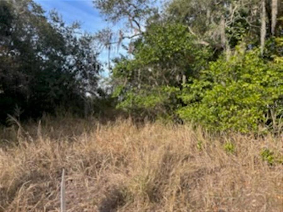 Property photo for SUNSET TRAIL, Babson Park, FL