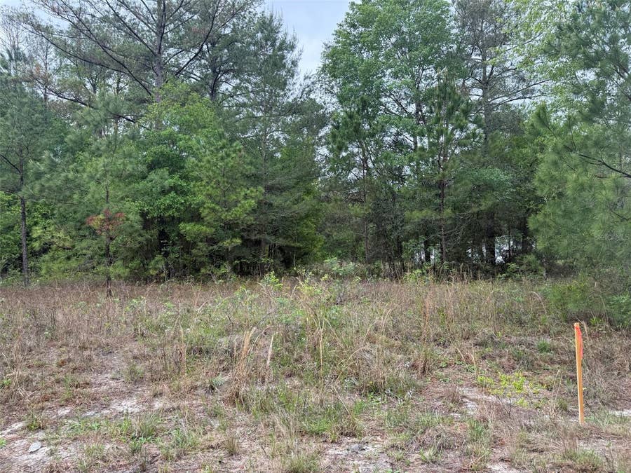 Property photo for MALTAS AVENUE, Interlachen, FL