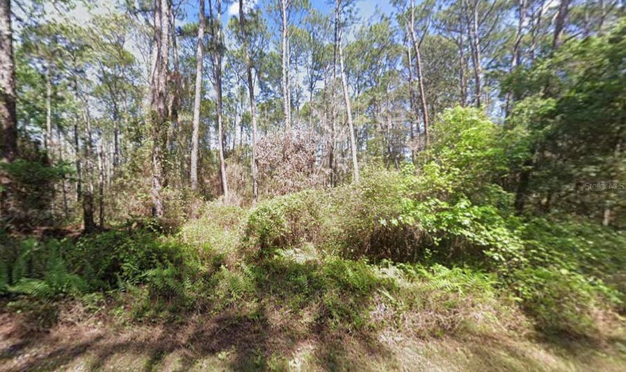 Property photo for 416 PALM WAY, Georgetown, FL