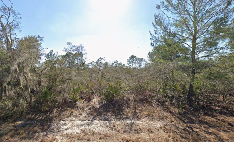 Property photo for 3235 N DAHLIA DRIVE, Lake Placid, FL