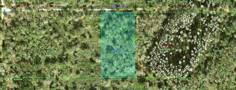 Property photo for INACCESSIBLE TRACT, Kathleen, FL