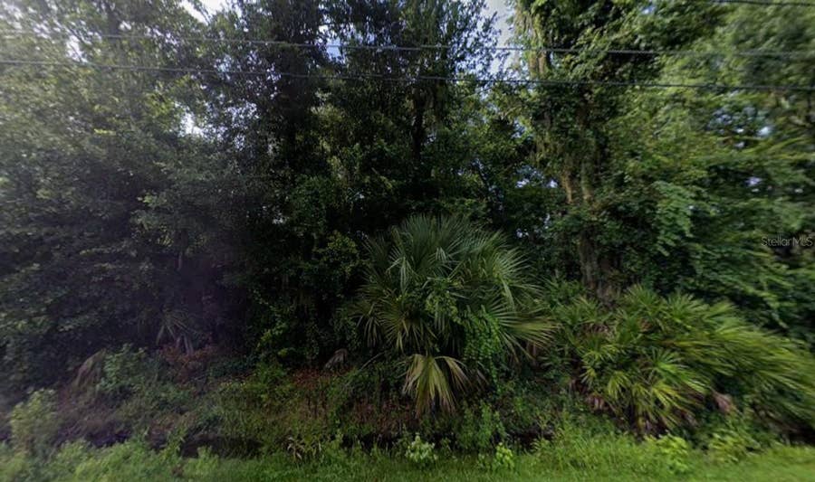 Property photo for 242 TOMS ROAD, Debary, FL
