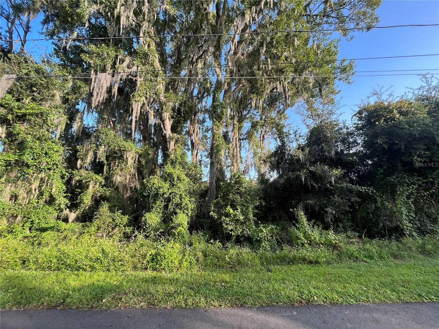 Property photo for 262 TOMS ROAD, Debary, FL