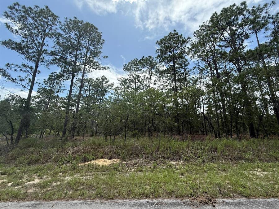 Property photo for TBD TREE TOP ROAD, Dunnellon, FL
