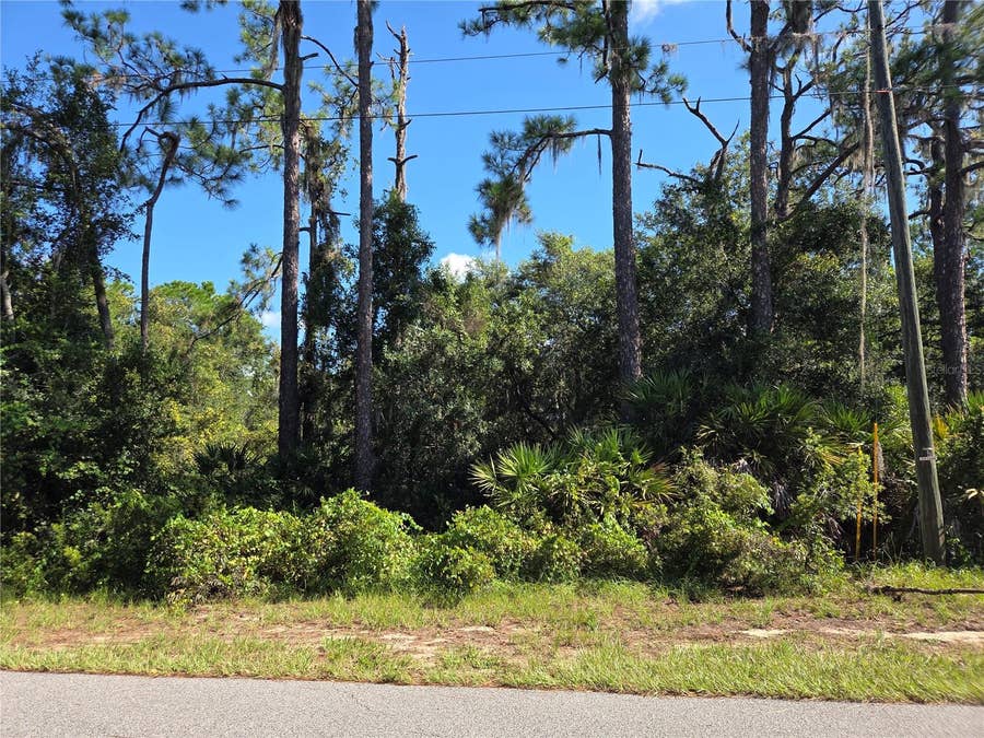 Property photo for DEER ROAD, Frostproof, FL