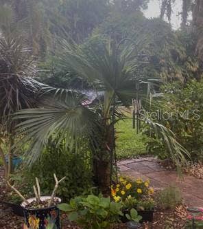 200 EL CAMINO DRIVE, #102, Winter Haven, FL 33884 Back Patio