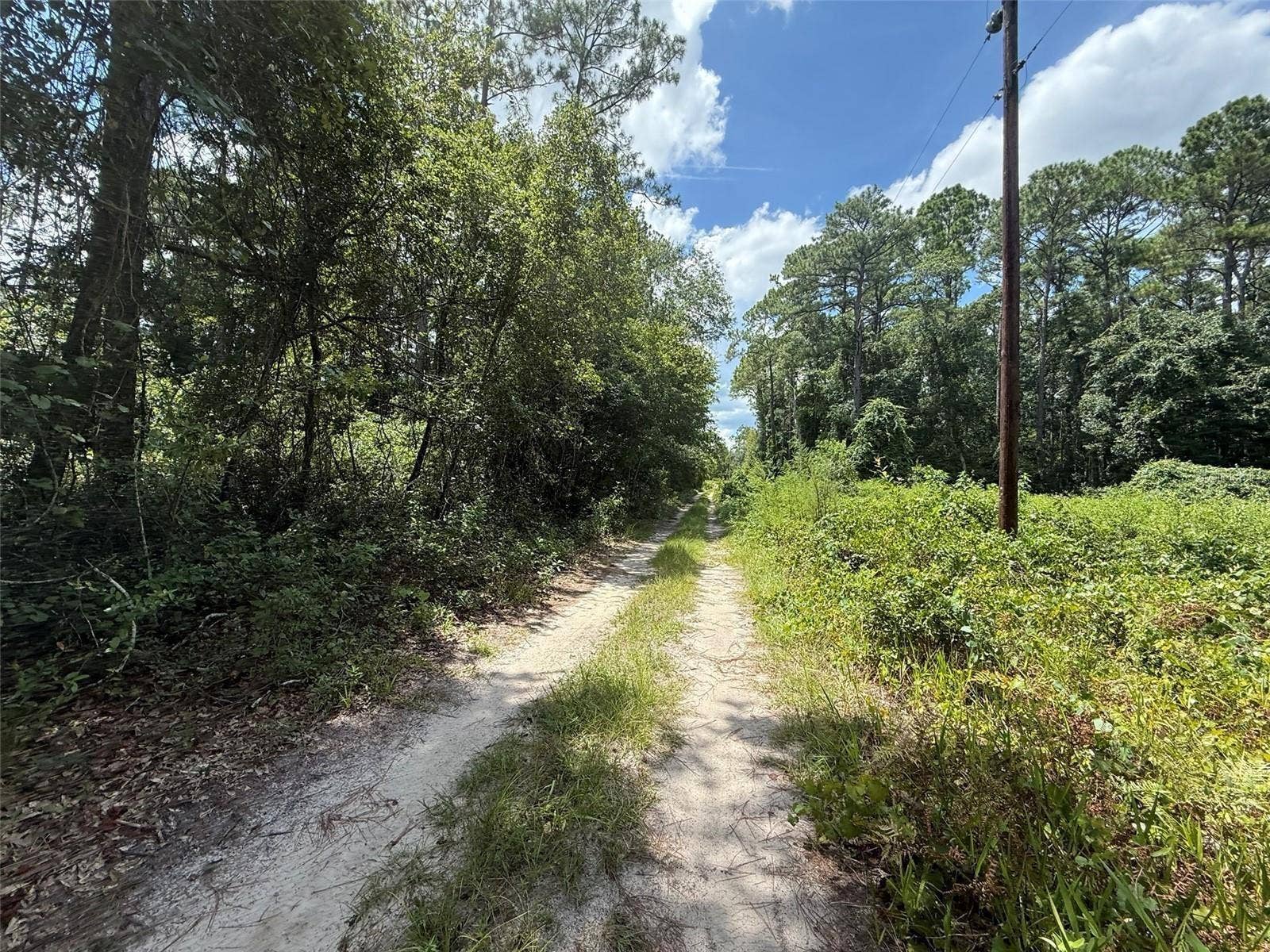 313 CALHOUN AVENUE, Florahome, FL 32140