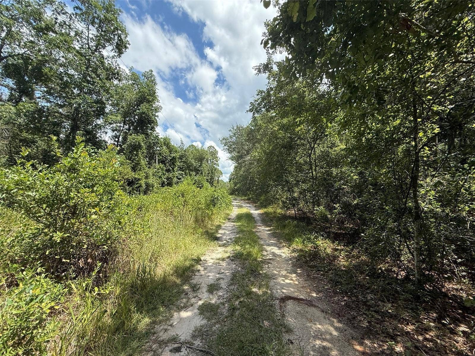 313 CALHOUN AVENUE, Florahome, FL 32140