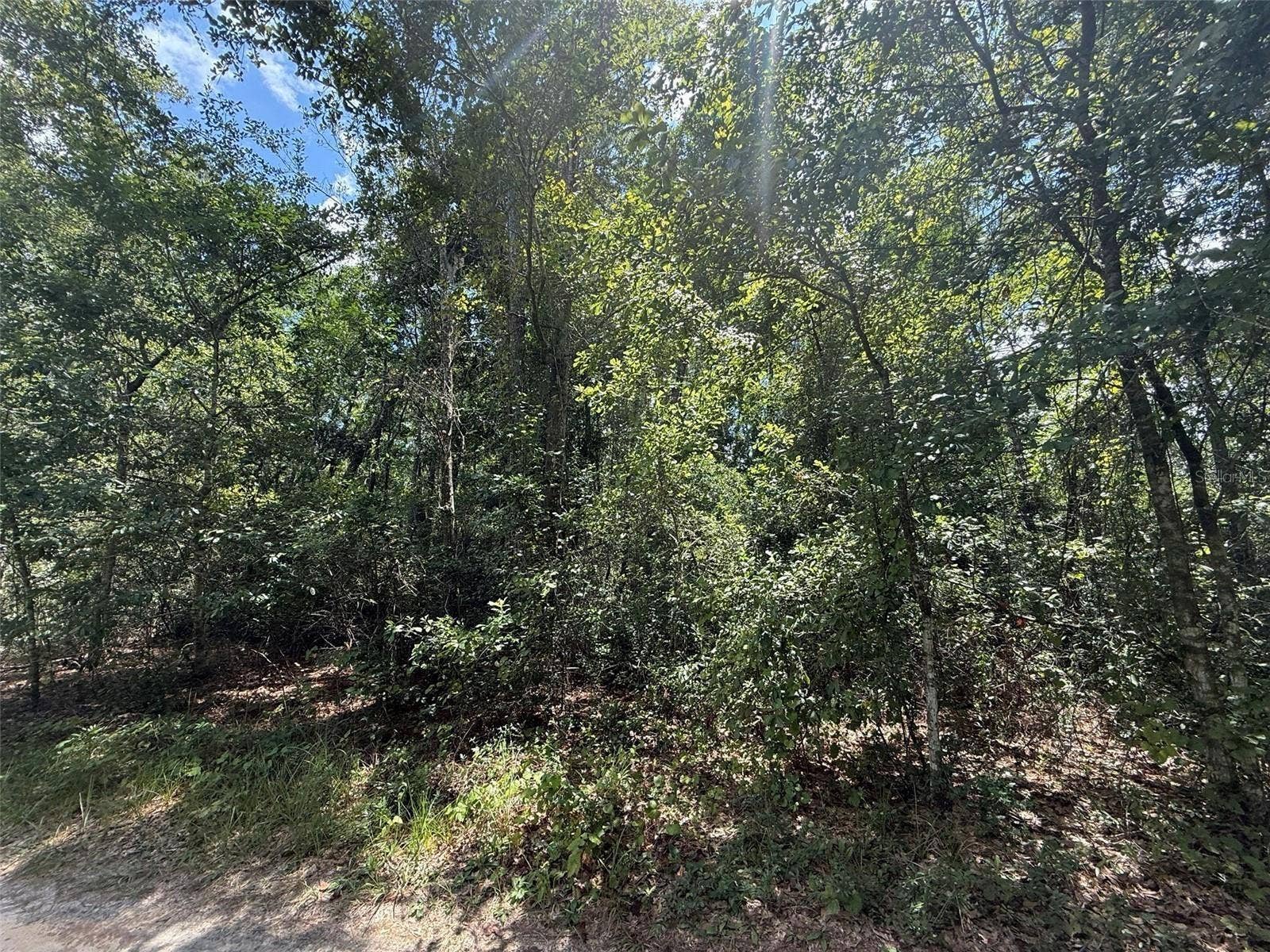 313 CALHOUN AVENUE, Florahome, FL 32140