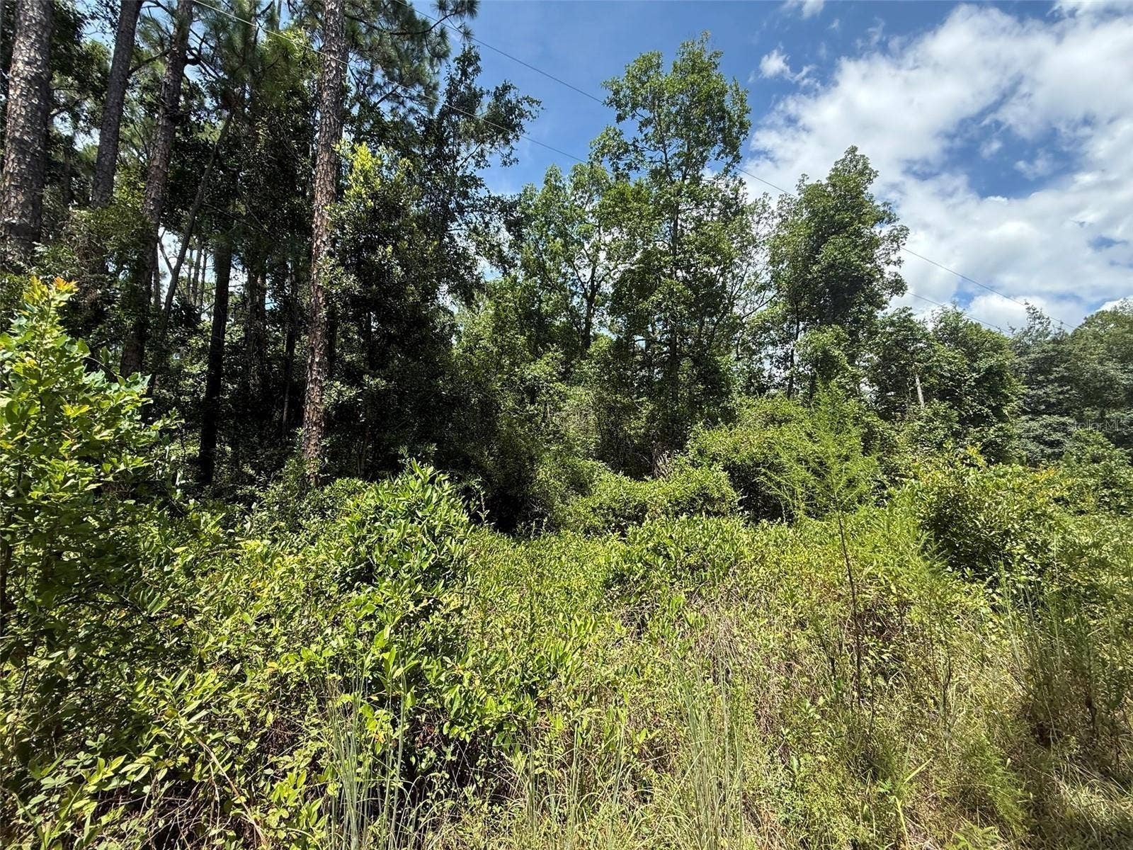 313 CALHOUN AVENUE, Florahome, FL 32140