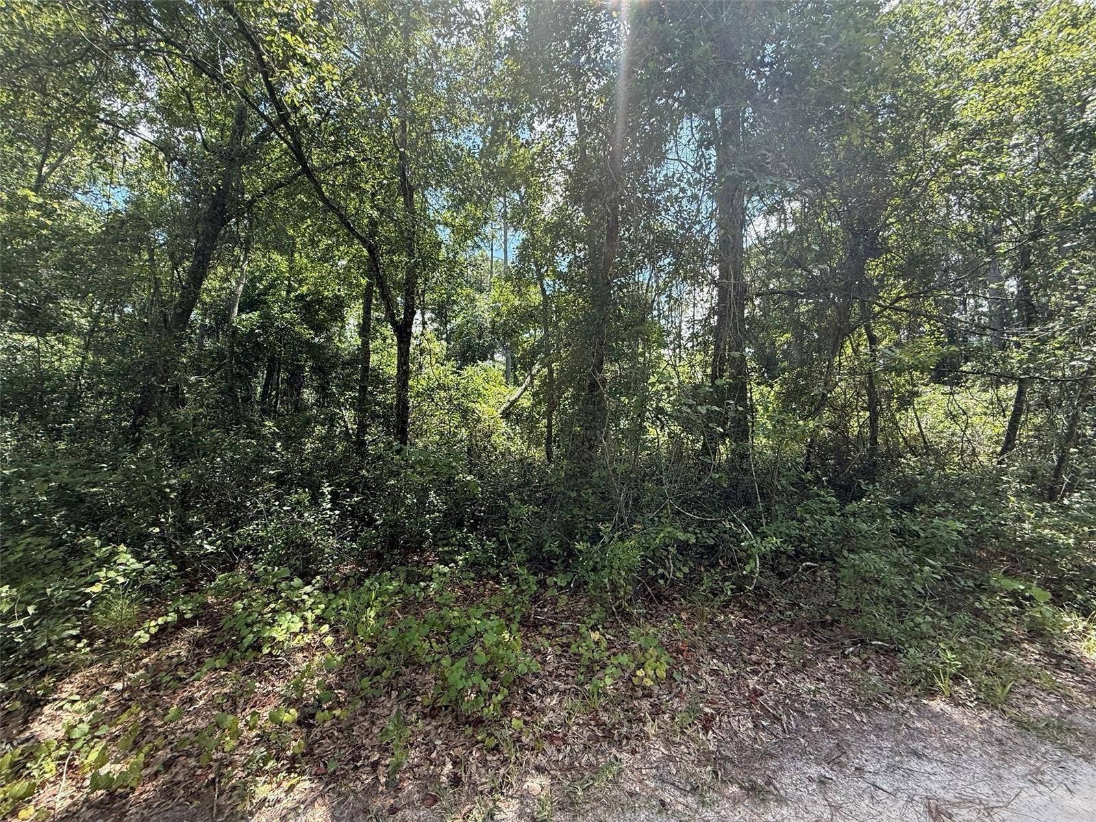 313 CALHOUN AVENUE, Florahome, FL 32140