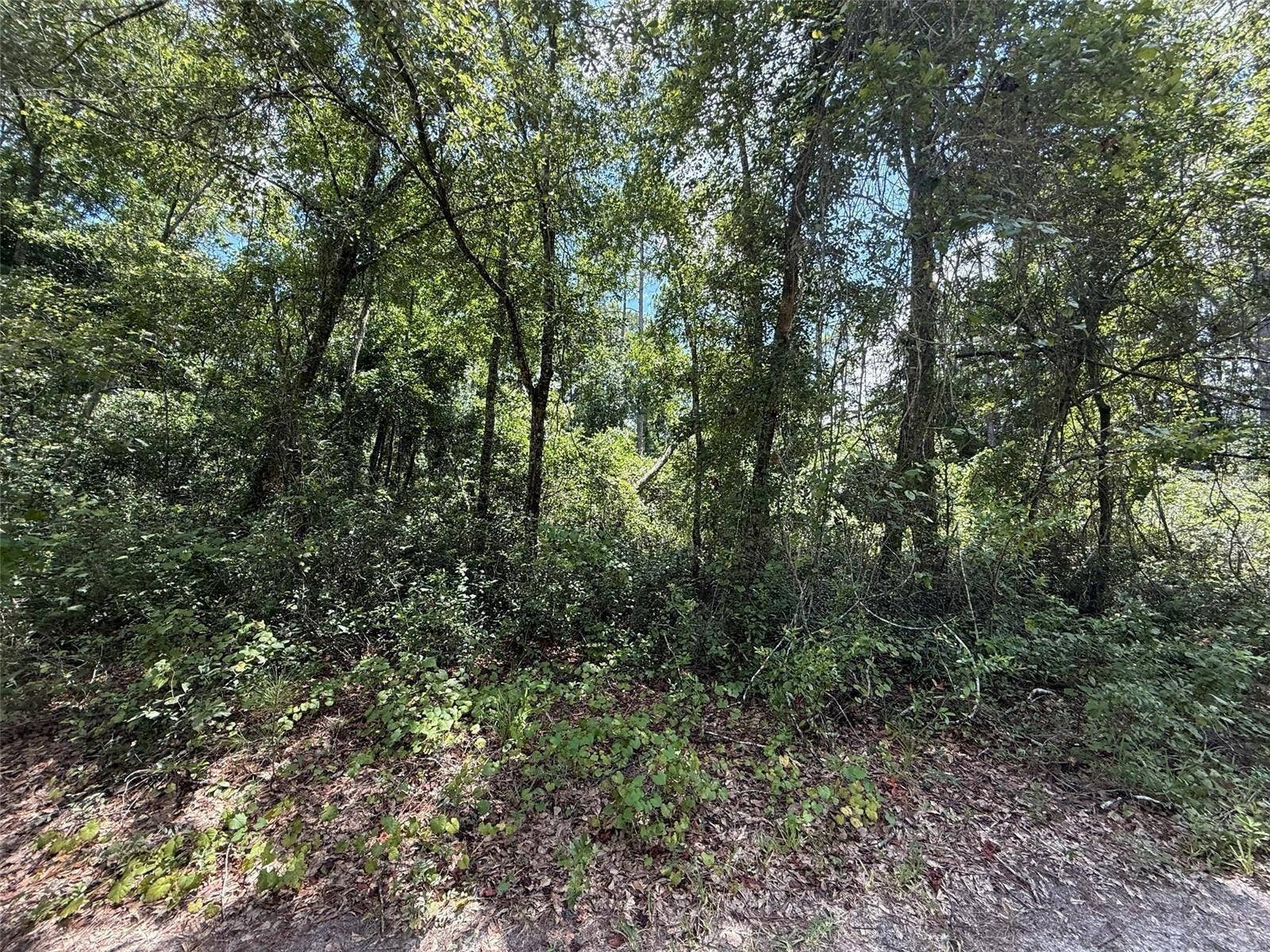 313 CALHOUN AVENUE, Florahome, FL 32140