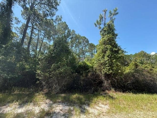 337 PALM WAY, Georgetown, FL 32139 337 PALM WAY, Georgetown, FL 32139