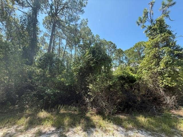 337 PALM WAY, Georgetown, FL 32139 337 PALM WAY, Georgetown, FL 32139