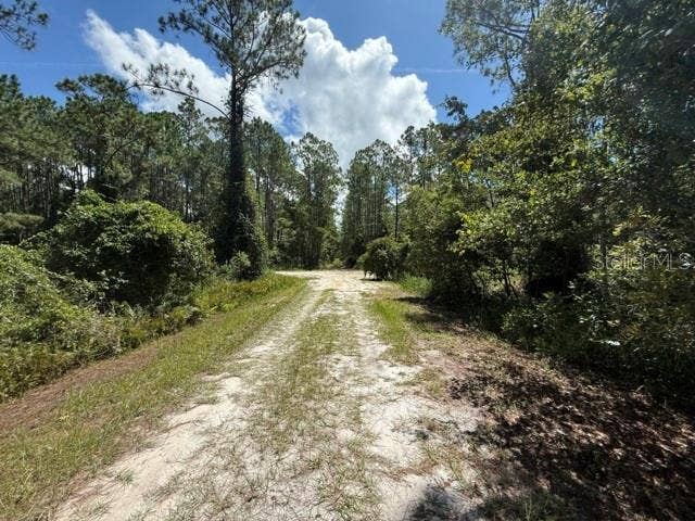 337 PALM WAY, Georgetown, FL 32139 337 PALM WAY, Georgetown, FL 32139