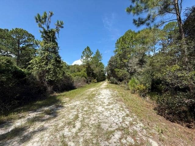 337 PALM WAY, Georgetown, FL 32139 337 PALM WAY, Georgetown, FL 32139