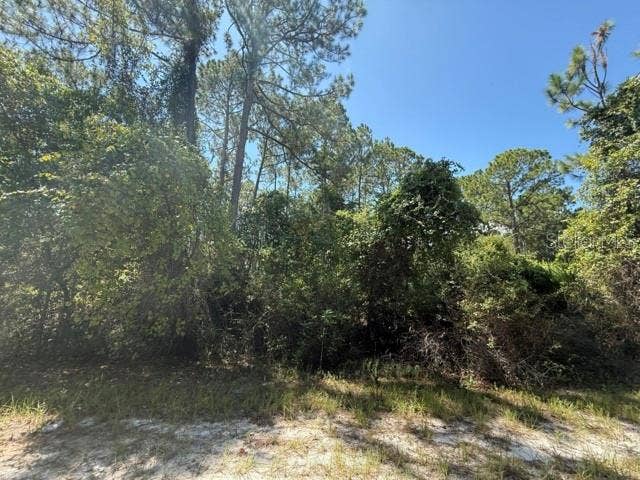 337 PALM WAY, Georgetown, FL 32139 337 PALM WAY, Georgetown, FL 32139