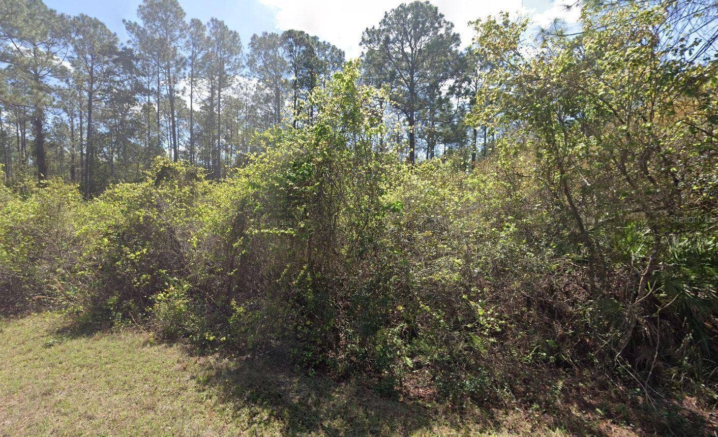 337 PALM WAY, Georgetown, FL 32139 337 PALM WAY, Georgetown, FL 32139