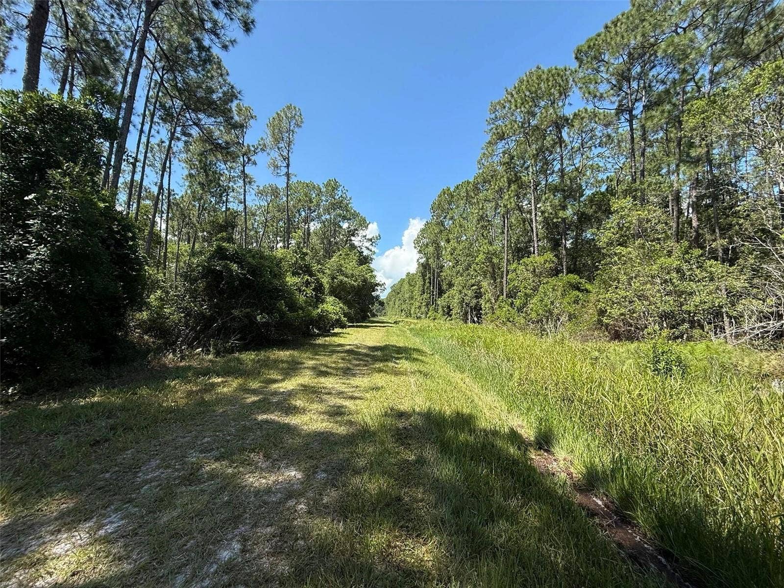 210 SE 2ND STREET, Georgetown, FL 32139