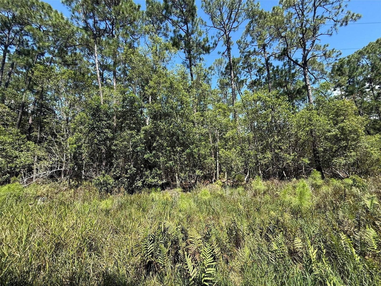 210 SE 2ND STREET, Georgetown, FL 32139