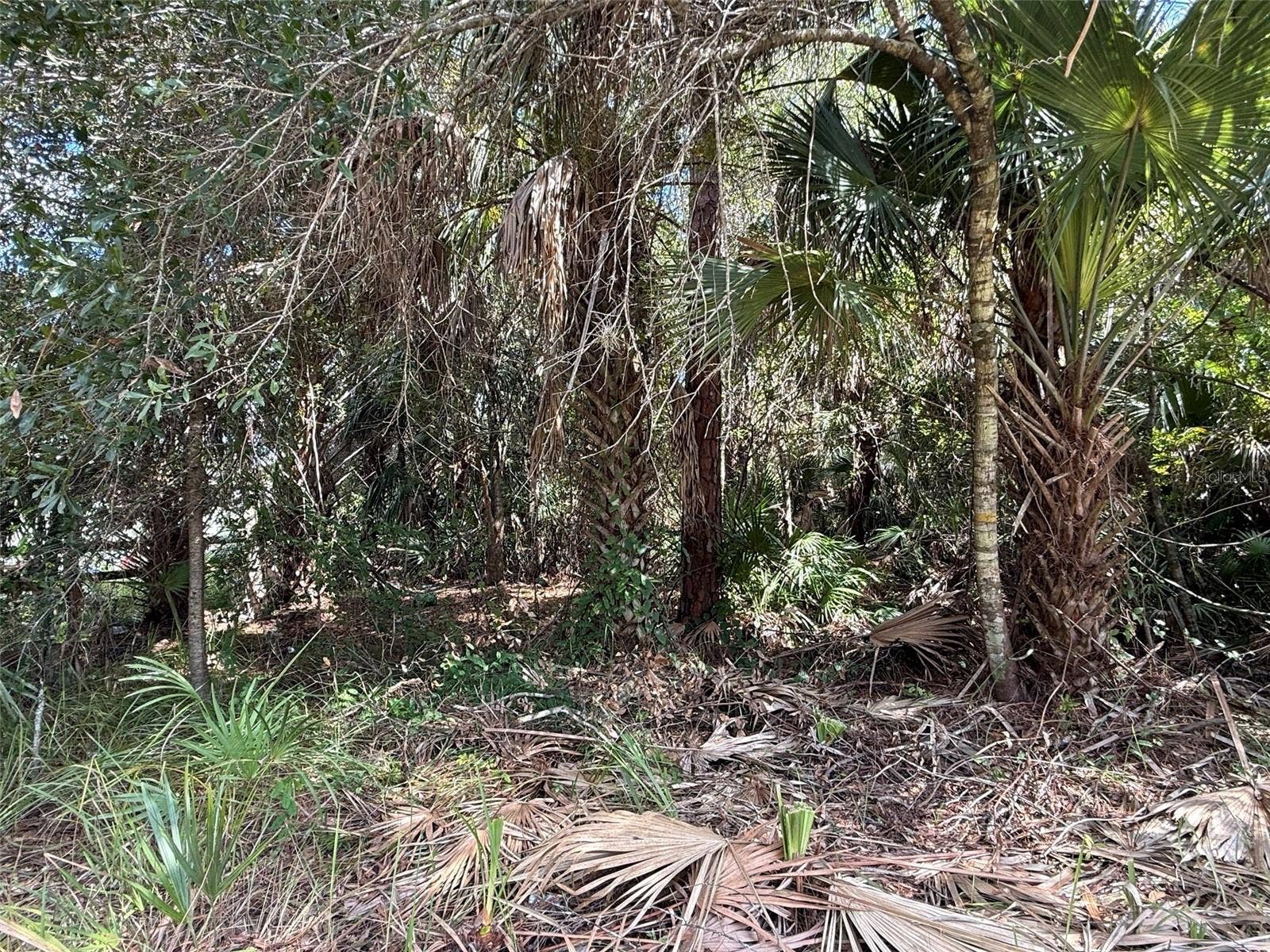 6000 VERA AVENUE N, Lehigh Acres, FL 33971