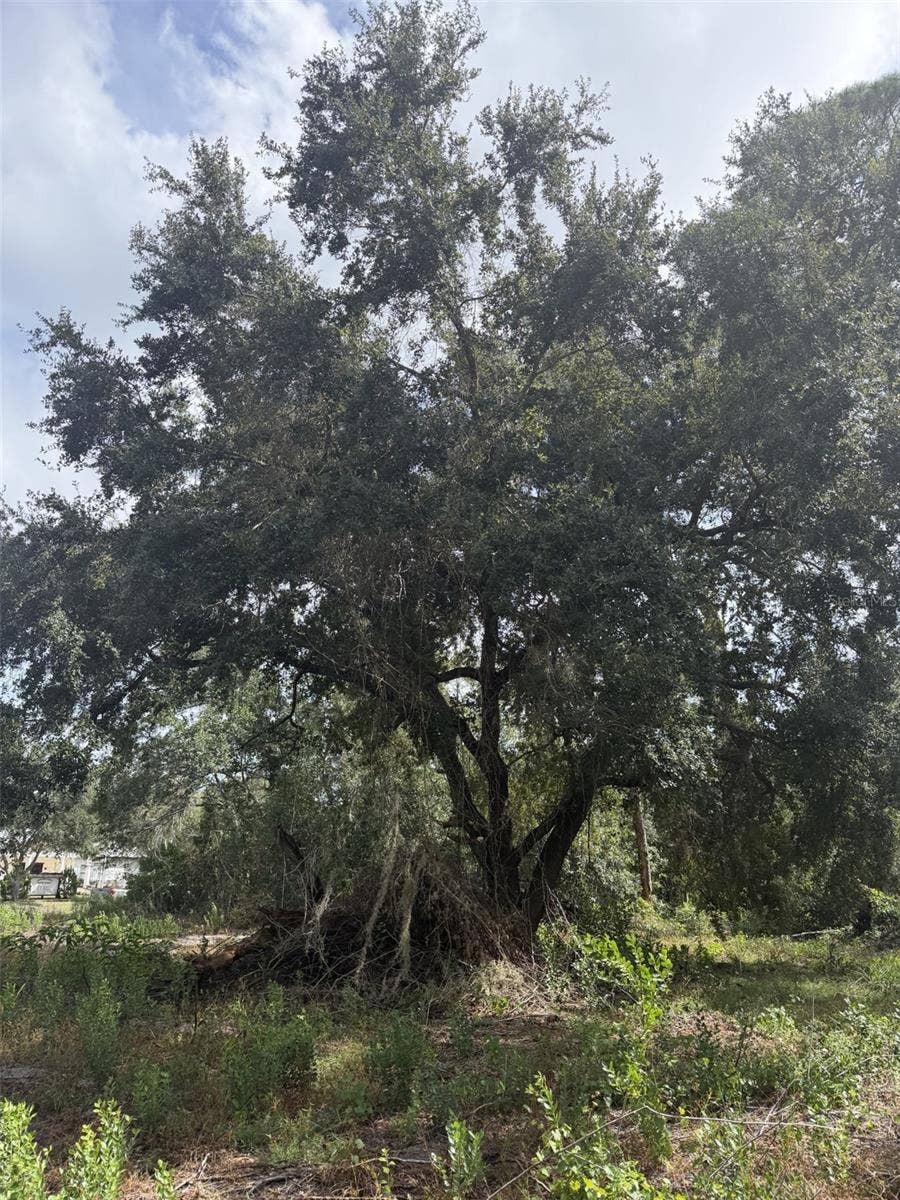801 GARDENIA STREET, Lake Placid, FL 33852 SE Corner