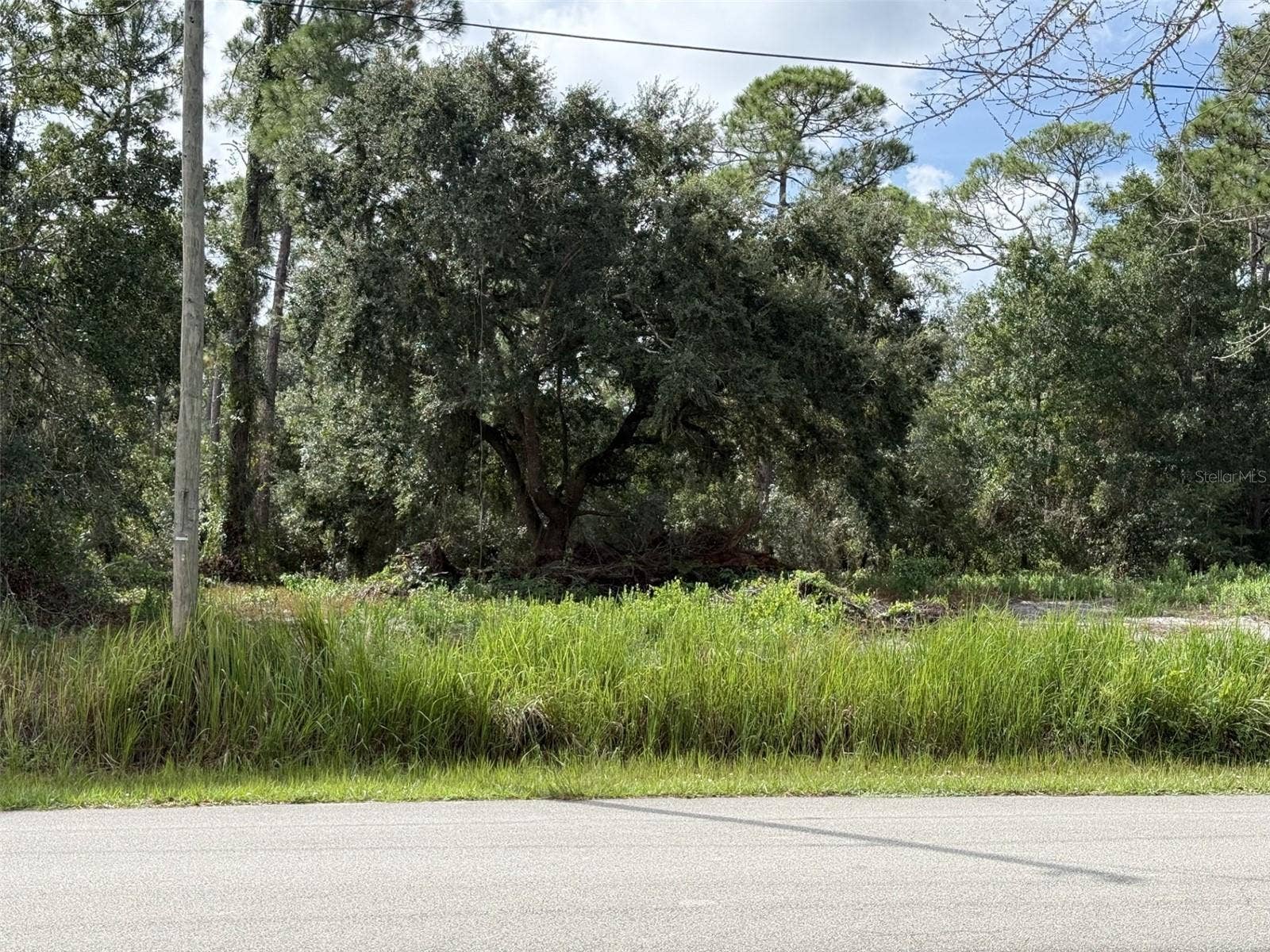 801 GARDENIA STREET, Lake Placid, FL 33852 East Boundary