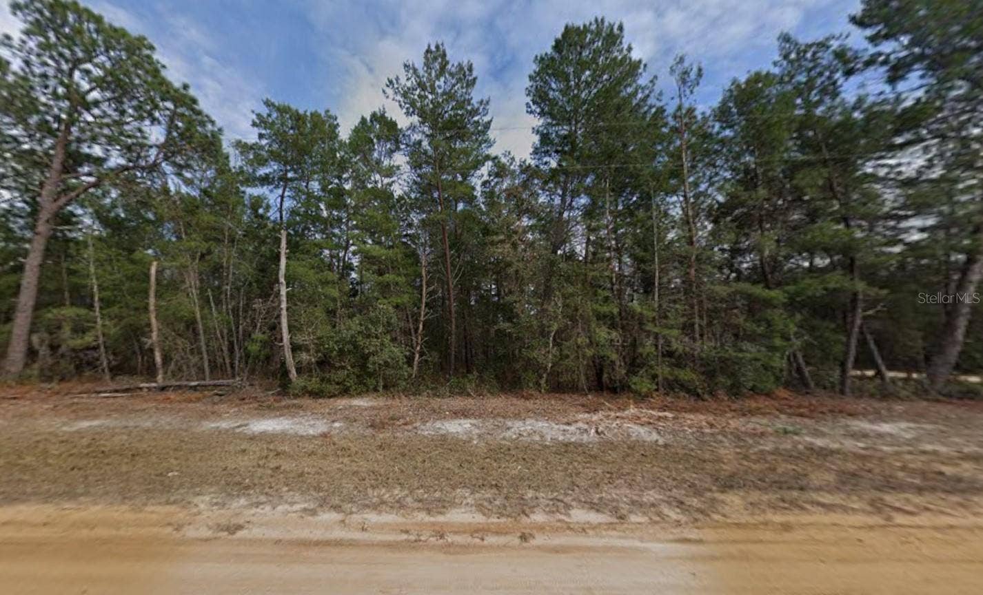 CREAGER AVENUE, Interlachen, FL 32148 CREAGER AVENUE, Interlachen, FL 32148